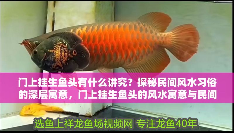 門上掛生魚頭有什么講究？探秘民間風水習俗的深層寓意，門上掛生魚頭的風水寓意與民間習俗解析