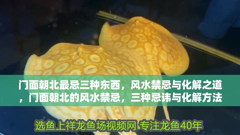 門面朝北最忌三種東西，風水禁忌與化解之道，門面朝北的風水禁忌，三種忌諱與化解方法