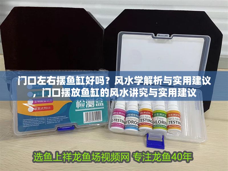 門口左右擺魚缸好嗎？風水學解析與實用建議，門口擺放魚缸的風水講究與實用建議