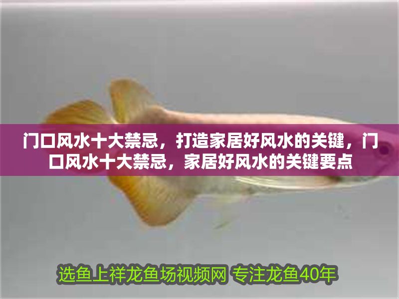 門口風水十大禁忌，打造家居好風水的關鍵，門口風水十大禁忌，家居好風水的關鍵要點