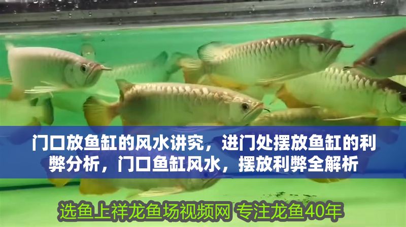 門口放魚缸的風水講究，進門處擺放魚缸的利弊分析，門口魚缸風水，擺放利弊全解析