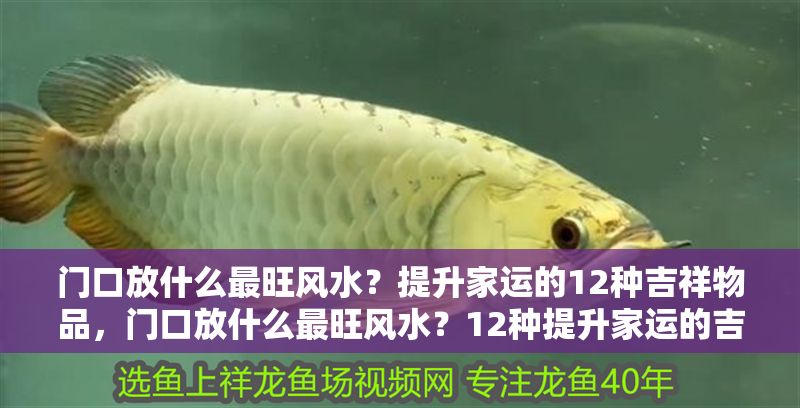 門口放什么最旺風水？提升家運的12種吉祥物品，門口放什么最旺風水？12種提升家運的吉祥物品推薦