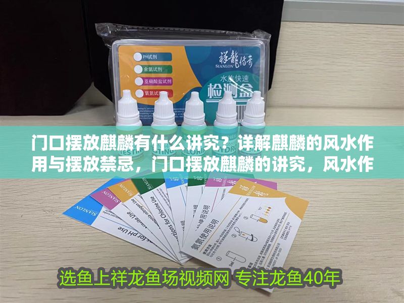 門口擺放麒麟有什么講究？詳解麒麟的風水作用與擺放禁忌，門口擺放麒麟的講究，風水作用與擺放禁忌全解析