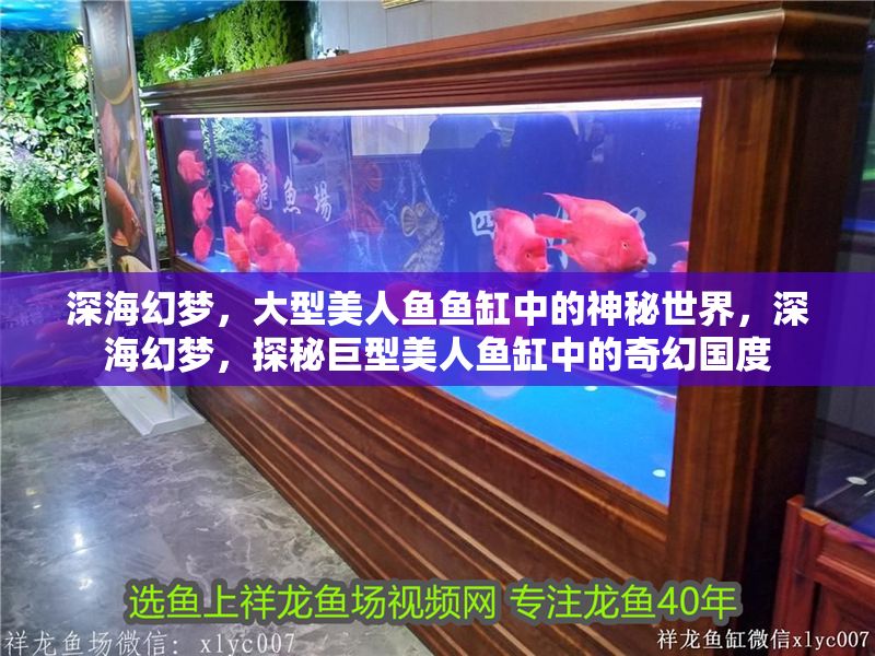 深海幻夢，大型美人魚魚缸中的神秘世界，深海幻夢，探秘巨型美人魚缸中的奇幻國度