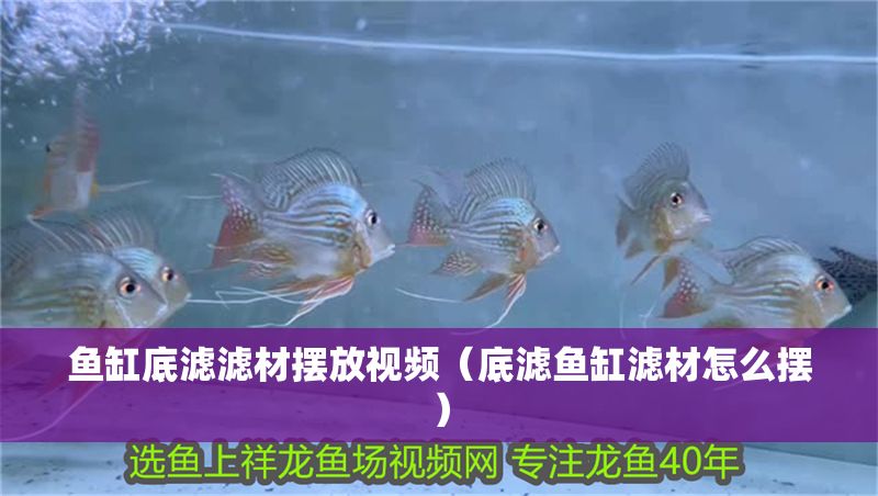 魚缸底濾濾材擺放視頻（底濾魚缸濾材怎么擺）