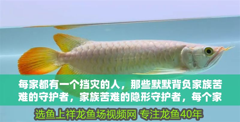 每家都有一個擋災(zāi)的人，那些默默背負家族苦難的守護者，家族苦難的隱形守護者，每個家庭都有一個默默擋災(zāi)的人 每家都有一個擋災(zāi)的人，那些默默背負家族苦難的守護者，家族苦難的隱形守護者，每個家庭都有一個默默擋災(zāi)的人 龍魚百科 第1張