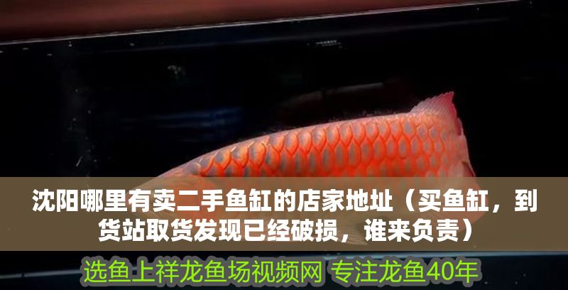 沈陽哪里有賣二手魚缸的店家地址（買魚缸，到貨站取貨發現已經破損，誰來負責）