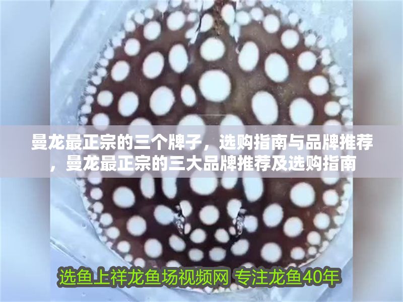 曼龍最正宗的三個牌子，選購指南與品牌推薦，曼龍最正宗的三大品牌推薦及選購指南