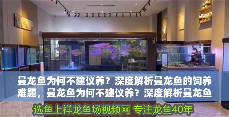 曼龍魚為何不建議養？深度解析曼龍魚的飼養難題，曼龍魚為何不建議養？深度解析曼龍魚的飼養難題