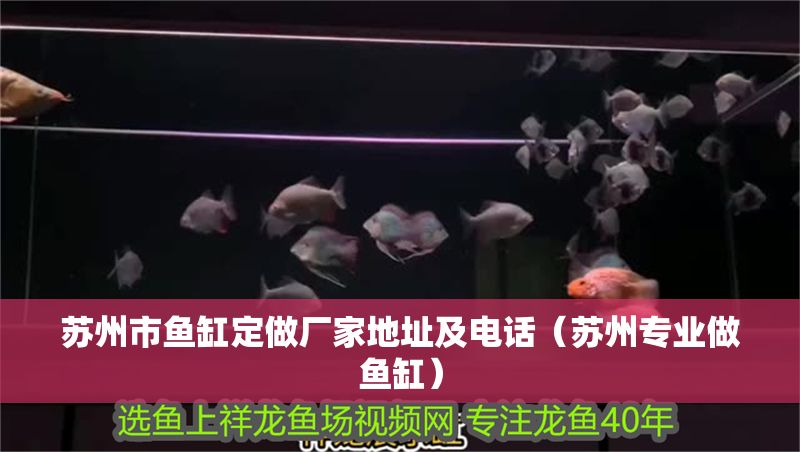 蘇州市魚缸定做廠家地址及電話（蘇州專業(yè)做魚缸）