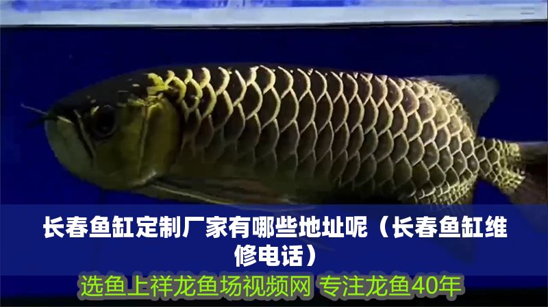 長春魚缸定制廠家有哪些地址呢（長春魚缸維修電話）