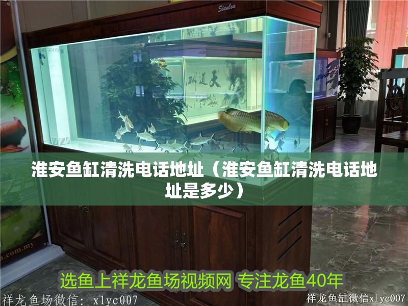 淮安魚缸清洗電話地址（淮安魚缸清洗電話地址是多少） 淮安魚缸清洗電話地址（淮安魚缸清洗電話地址是多少） 龍魚百科 第1張