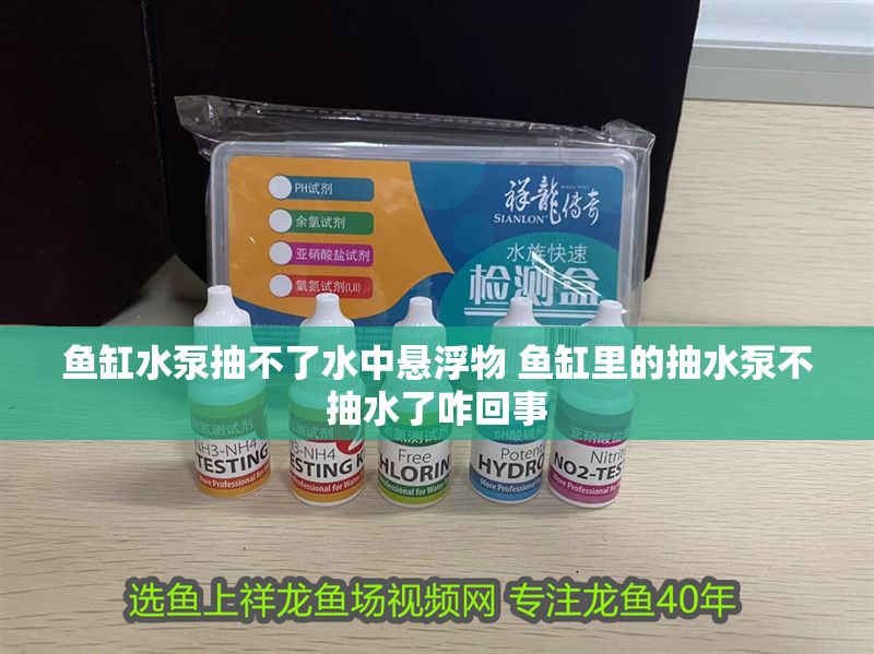 魚缸水泵抽不了水中懸浮物 魚缸里的抽水泵不抽水了咋回事 魚缸水泵抽不了水中懸浮物 魚缸里的抽水泵不抽水了咋回事 龍魚百科 第1張