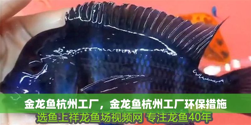 金龍魚杭州工廠，金龍魚杭州工廠環保措施