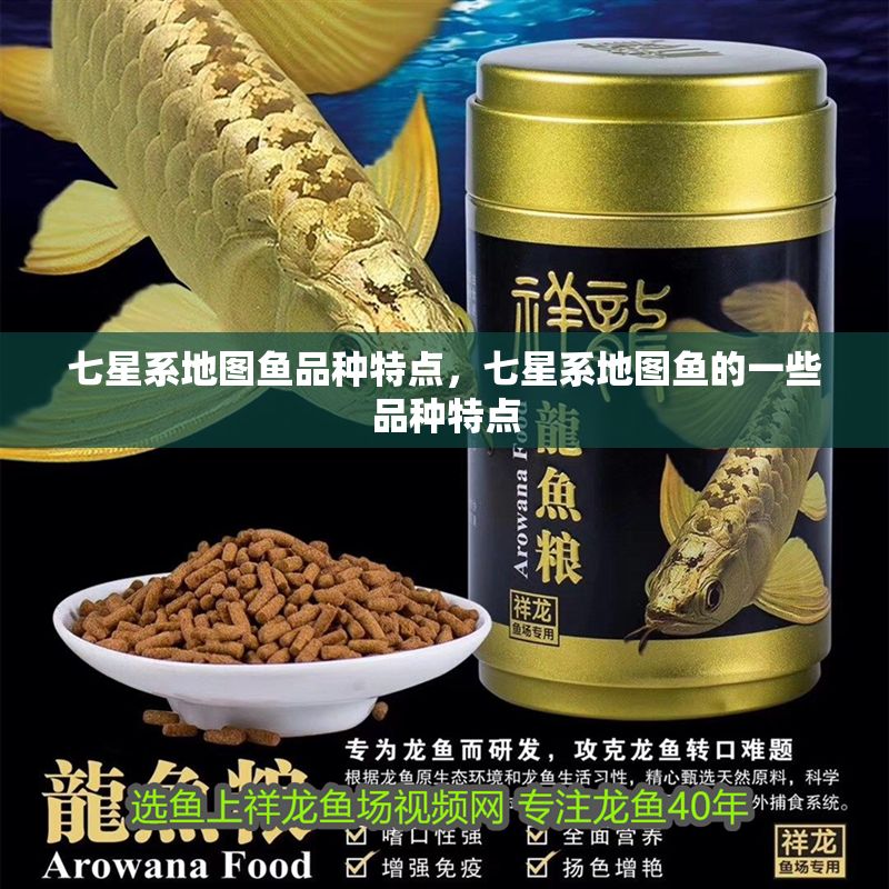 七星系地圖魚品種特點(diǎn)，七星系地圖魚的一些品種特點(diǎn)