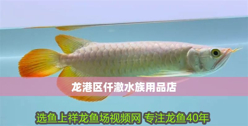 龍港區仟澈水族用品店 龍港區仟澈水族用品店 全國水族館企業名錄 第1張