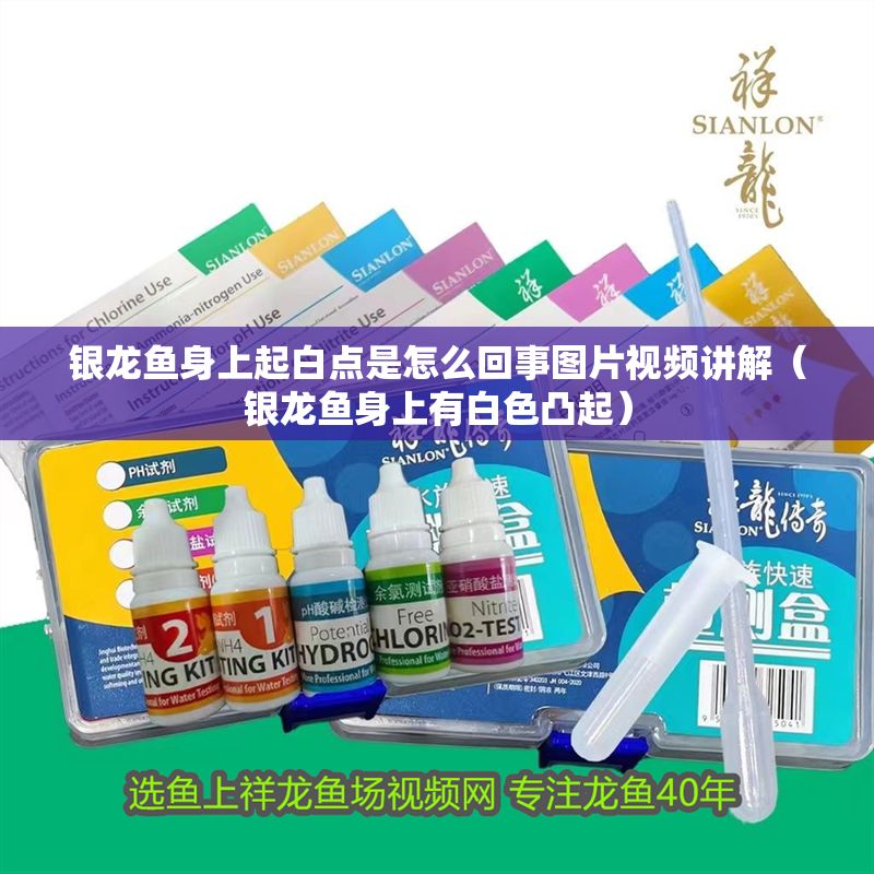 銀龍魚身上起白點是怎么回事圖片視頻講解（銀龍魚身上有白色凸起）