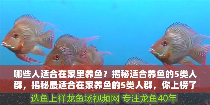 哪些人適合在家里養魚？揭秘適合養魚的5類人群，揭秘最適合在家養魚的5類人群，你上榜了嗎？