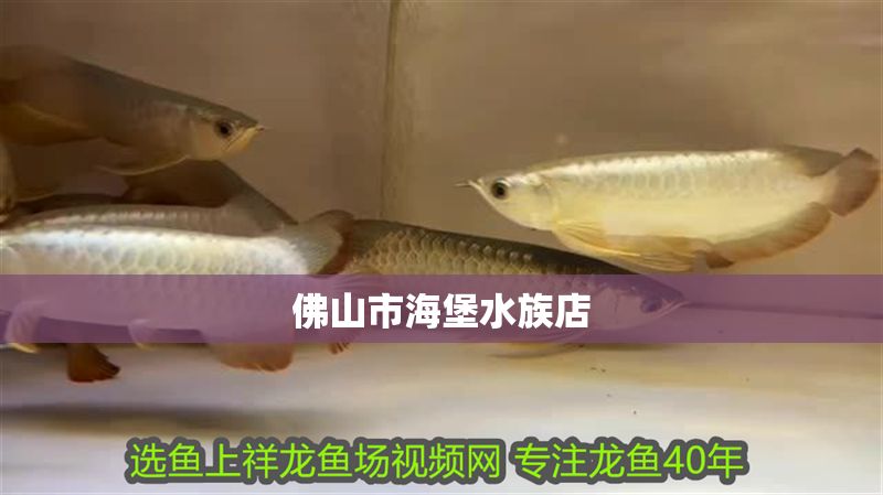 佛山市海堡水族店