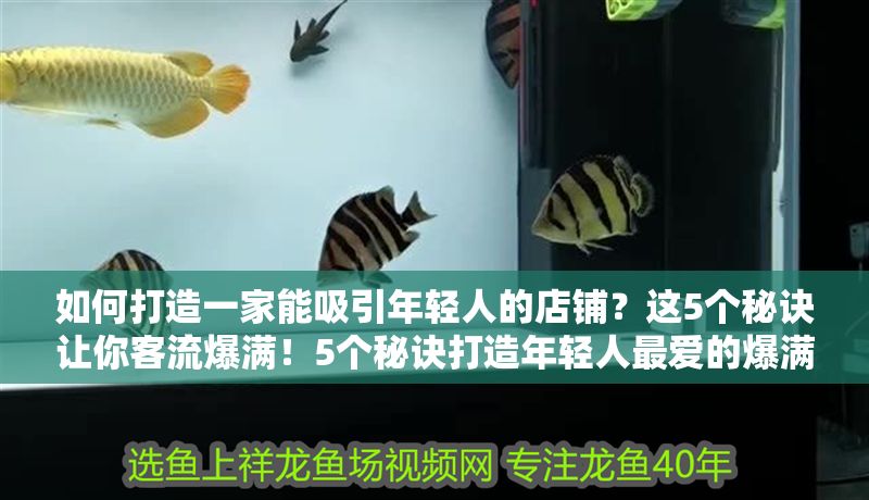 如何打造一家能吸引年輕人的店鋪？這5個(gè)秘訣讓你客流爆滿！5個(gè)秘訣打造年輕人最愛(ài)的爆滿店鋪！