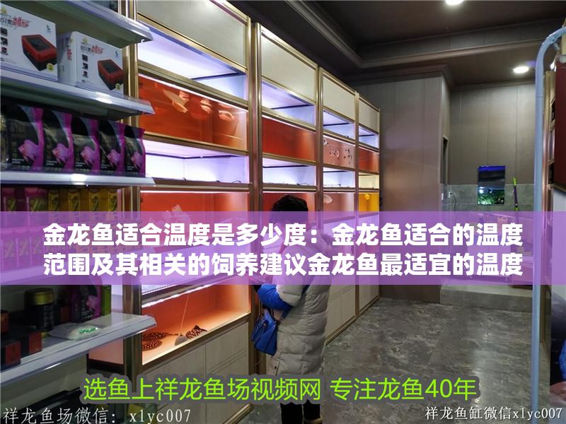 金龍魚適合溫度是多少度：金龍魚適合的溫度范圍及其相關(guān)的飼養(yǎng)建議金龍魚最適宜的溫度范圍