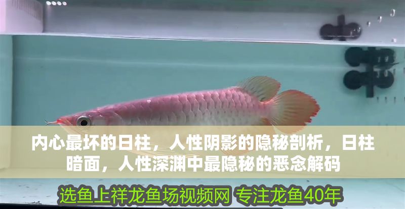 內心最壞的日柱，人性陰影的隱秘剖析，日柱暗面，人性深淵中最隱秘的惡念解碼
