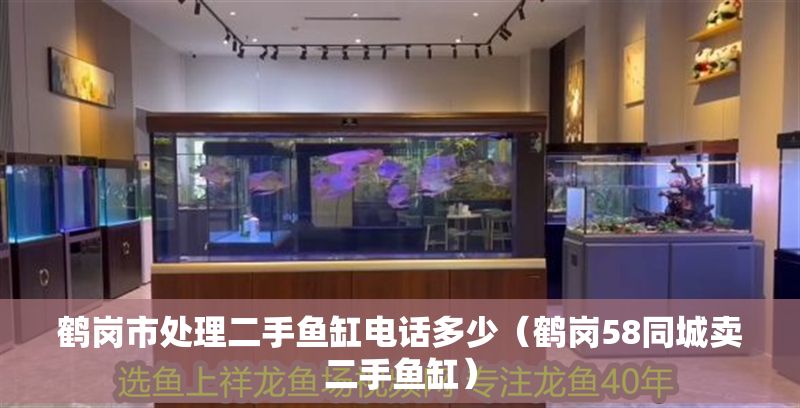 鶴崗市處理二手魚缸電話多少（鶴崗58同城賣二手魚缸） 鶴崗市處理二手魚缸電話多少（鶴崗58同城賣二手魚缸） 龍魚百科 第1張