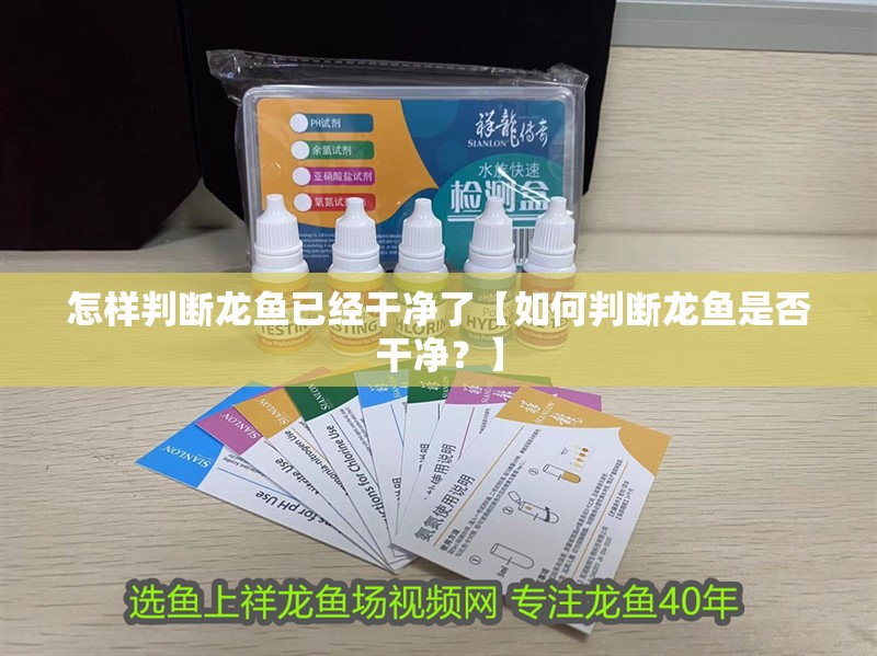 怎樣判斷龍魚已經干凈了【如何判斷龍魚是否干凈？】