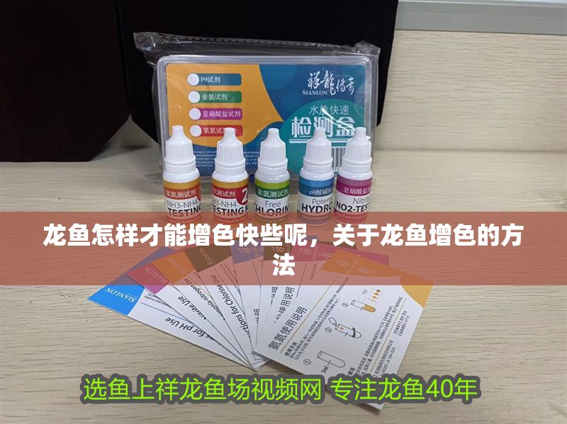 龍魚怎樣才能增色快些呢，關于龍魚增色的方法