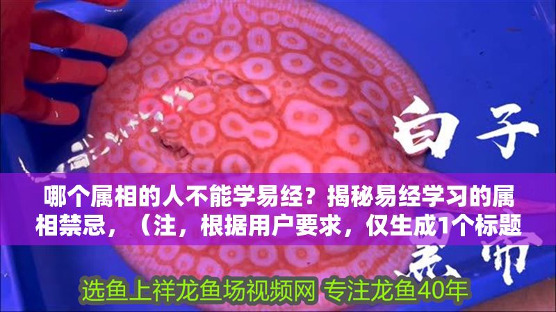 哪個屬相的人不能學易經？揭秘易經學習的屬相禁忌，（注，根據用戶要求，僅生成1個標題），易經學習有屬相禁忌？這幾類人需謹慎！ 哪個屬相的人不能學易經？揭秘易經學習的屬相禁忌，（注，根據用戶要求，僅生成1個標題），易經學習有屬相禁忌？這幾類人需謹慎！ 龍魚百科 第1張