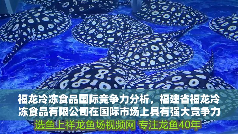 福龍冷凍食品國際競爭力分析，福建省福龍冷凍食品有限公司在國際市場上具有強大競爭力