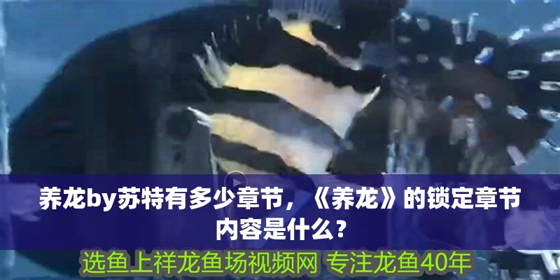 魚缸過濾器選購指南:自制魚缸過濾器魚缸上置過濾器對于養魚愛好者的必備知識 養龍by蘇特有多少章節,《養龍》的鎖定章節內容是什么? 龍魚論壇 養龍by蘇特有多少章節,《養龍》的鎖定章節內容是什么? 養龍by蘇特有多少章節,《養龍》的鎖定章節內容是什么? 龍魚論壇