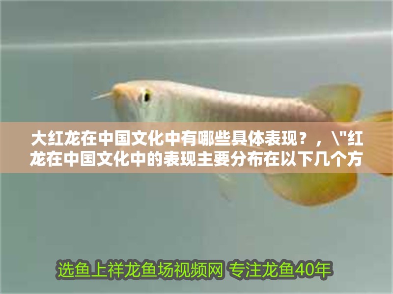 大紅龍在中國文化中有哪些具體表現？， 大紅龍在中國文化中有哪些具體表現？，\