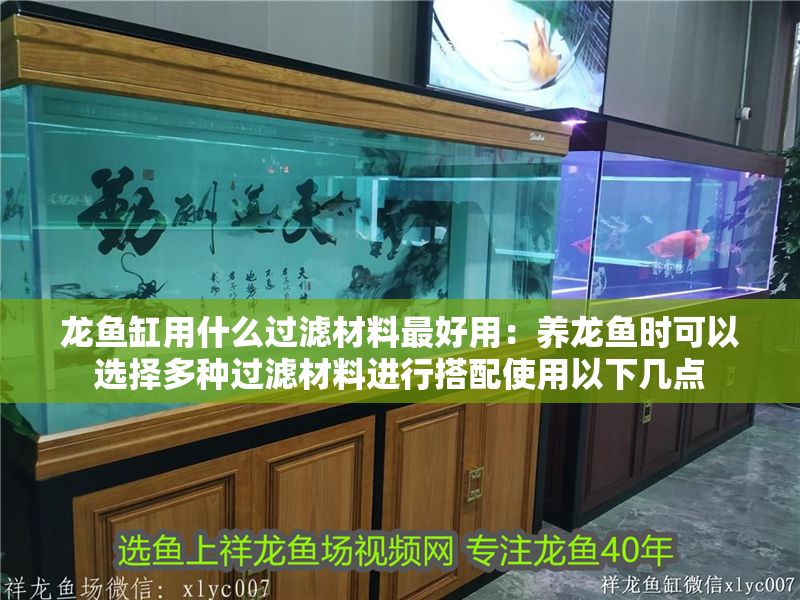 龍魚缸用什么過濾材料最好用：養龍魚時可以選擇多種過濾材料進行搭配使用以下幾點