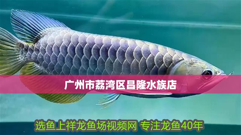 廣州市荔灣區昌隆水族店 廣州市荔灣區昌隆水族店 全國水族館企業名錄 第1張