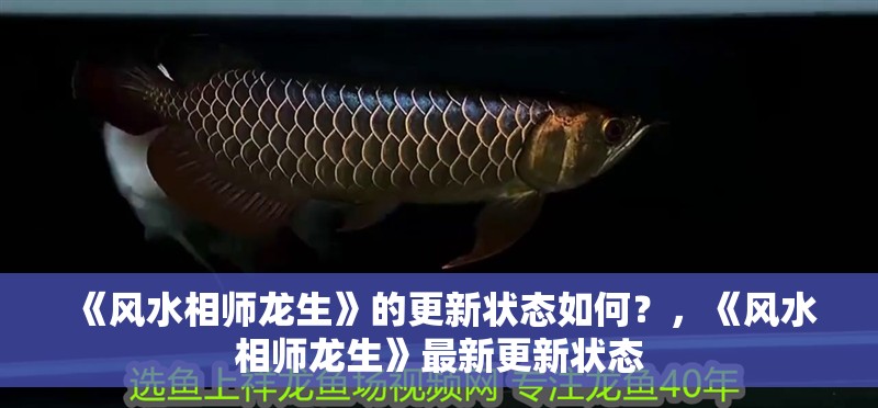 《風水相師龍生》的更新狀態如何？，《風水相師龍生》最新更新狀態