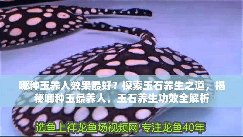 哪種玉養(yǎng)人效果最好？探索玉石養(yǎng)生之道，揭秘哪種玉最養(yǎng)人，玉石養(yǎng)生功效全解析 哪種玉養(yǎng)人效果最好？探索玉石養(yǎng)生之道，揭秘哪種玉最養(yǎng)人，玉石養(yǎng)生功效全解析 龍魚百科 第1張