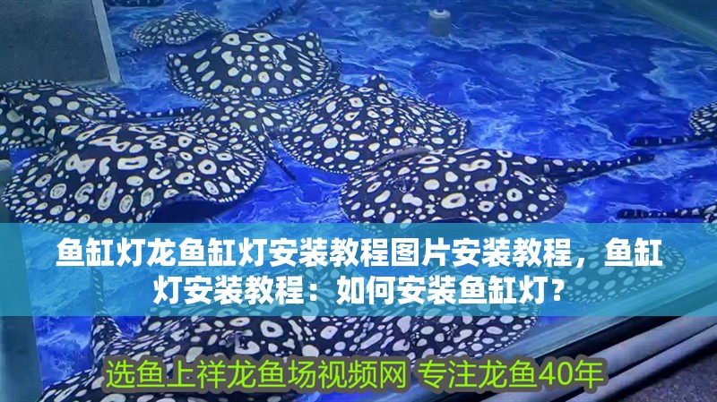 魚缸燈龍魚缸燈安裝教程圖片安裝教程，魚缸燈安裝教程：如何安裝魚缸燈？