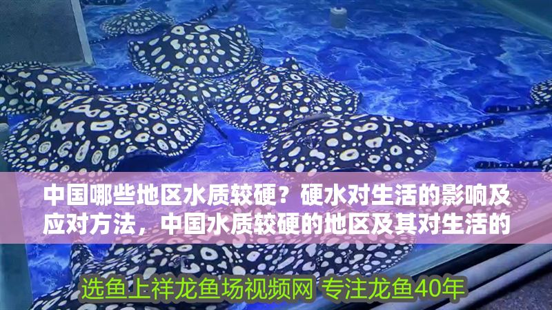 中國(guó)哪些地區(qū)水質(zhì)較硬？硬水對(duì)生活的影響及應(yīng)對(duì)方法，中國(guó)水質(zhì)較硬的地區(qū)及其對(duì)生活的影響與應(yīng)對(duì)措施