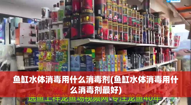 魚缸水體消毒用什么消毒劑(魚缸水體消毒用什么消毒劑最好) 魚缸水體消毒用什么消毒劑(魚缸水體消毒用什么消毒劑最好) 龍魚百科 第1張