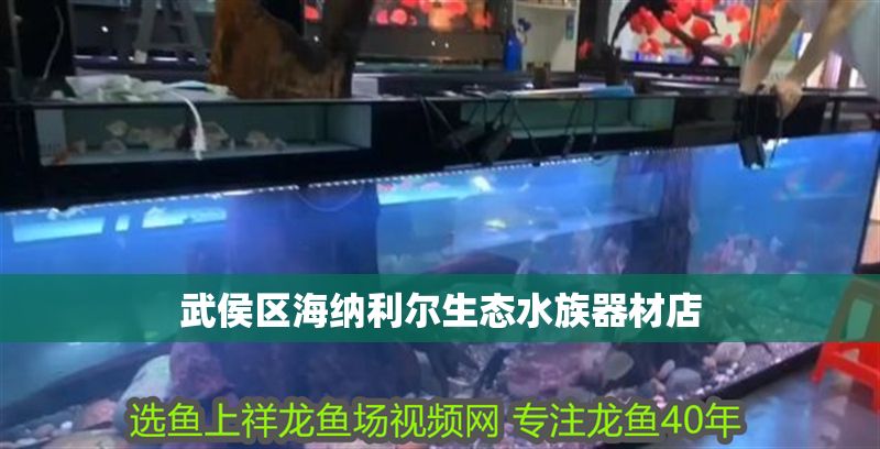 武侯區海納利爾生態水族器材店