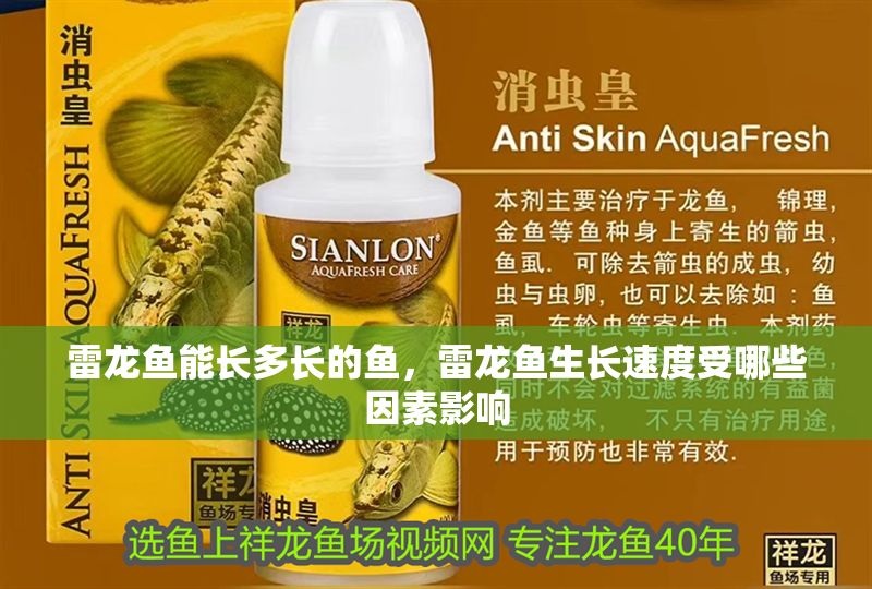 雷龍魚能長多長的魚，雷龍魚生長速度受哪些因素影響