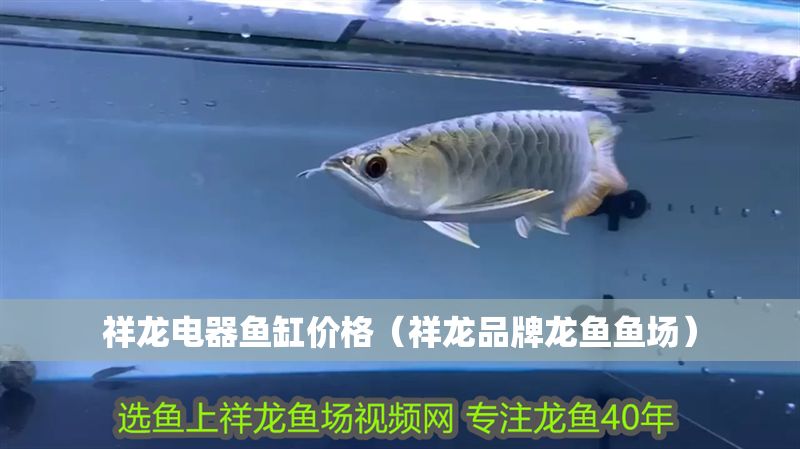 祥龍電器魚缸價格（祥龍品牌龍魚魚場）