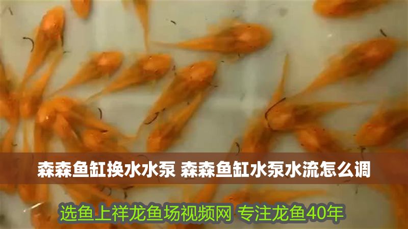 森森魚缸換水水泵 森森魚缸水泵水流怎么調 森森魚缸換水水泵 森森魚缸水泵水流怎么調 龍魚百科 第1張