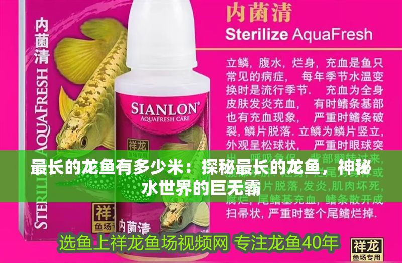 最長的龍魚有多少米：探秘最長的龍魚，神秘水世界的巨無霸