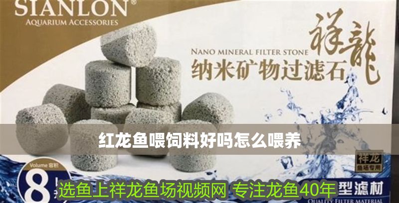 紅龍魚喂飼料好嗎怎么喂養(yǎng) 龍魚百科 第1張 紅龍魚喂飼料好嗎怎么喂養(yǎng) 紅龍魚喂飼料好嗎怎么喂養(yǎng) 龍魚百科 第1張