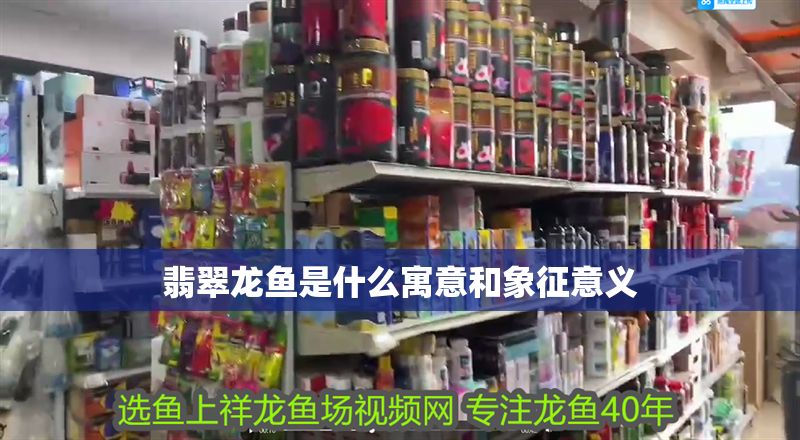 翡翠龍魚是什么寓意和象征意義