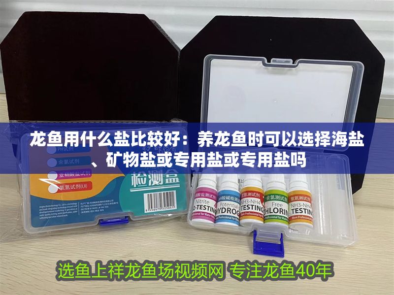 龍魚用什么鹽比較好：養龍魚時可以選擇海鹽、礦物鹽或專用鹽或專用鹽嗎 龍魚用什么鹽比較好：養龍魚時可以選擇海鹽、礦物鹽或專用鹽或專用鹽嗎 龍魚百科 第2張