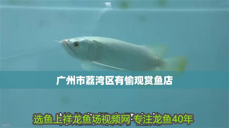 廣州市荔灣區(qū)有愉觀賞魚店