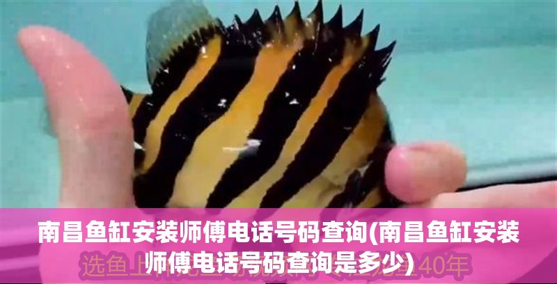 南昌魚缸安裝師傅電話號碼查詢(南昌魚缸安裝師傅電話號碼查詢是多少)